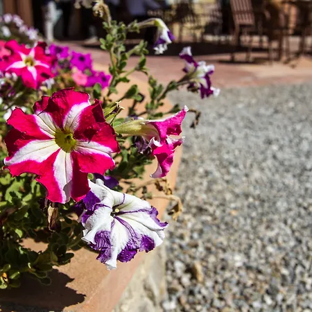 Relais Olmo - Place Of Charme